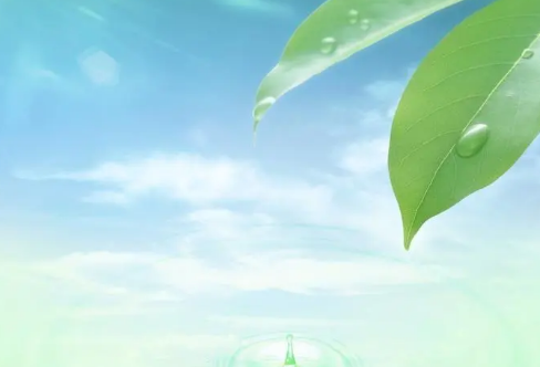 1708548260673177.png image.png