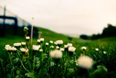 ​朋友圈五一劳动节祝福文案说说(精选95句)
