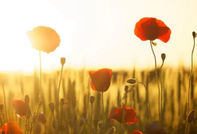 ​发朋友圈表示看透人心个性说说大全(精选67句)