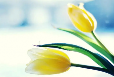 ​心烦意乱的心情说说 心烦意乱心情低落的说说