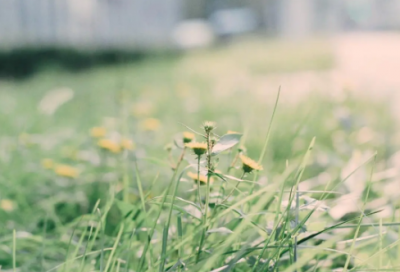 ​适合旅游配朋友圈文案 出去玩的说说唯美简短
