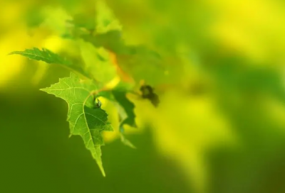 ​回到原点从头开始的励志说说(精选79句)