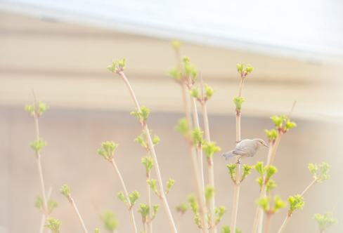 1708552420469309.png image.png