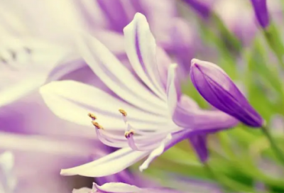 ​夜晚的朋友圈说说 夜晚喝酒的朋友圈说说(精选83句)