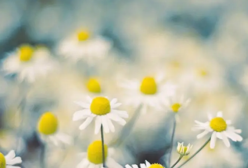 1708554417517766.png image.png