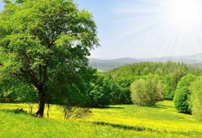 ​开业期间发朋友圈说说 自己开业怎么发朋友圈说说