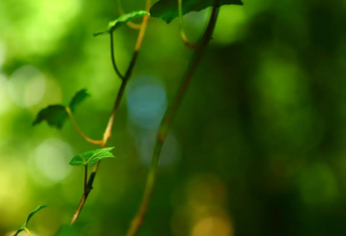 1708556248769412.png image.png