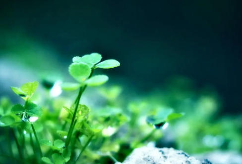 1708556580332301.png image.png