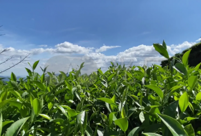 ​想念一个人的说说心情 想念一个人的说说心情的图片