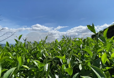 1708558411277840.png image.png