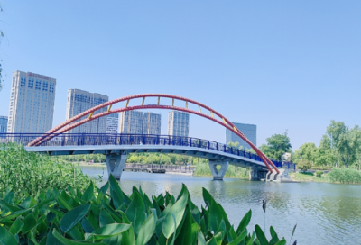 ​高考的心情说说 关于高考的心情语录(精选68句)