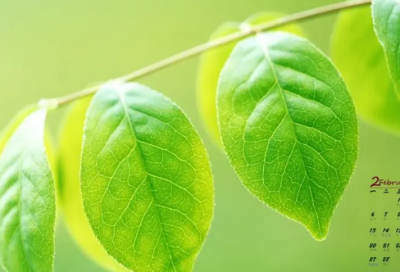 ​喝酒发朋友圈说说 喝酒发朋友圈说说心情(精选91句)