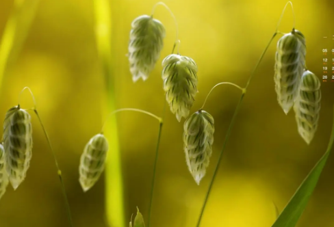 1708564403381141.png image.png