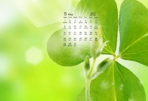 1708564735850866.png image.png