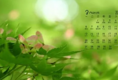 ​晒花的朋友圈文案 晒花的朋友圈说说(精选95句)