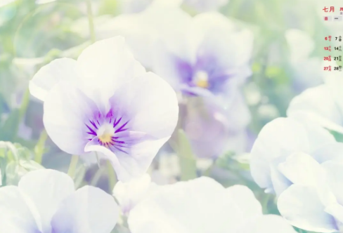 1708565235580240.png image.png