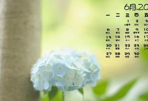 1708566067304306.png image.png