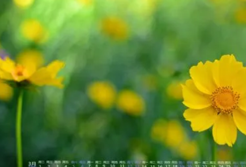 1708566400688146.png image.png