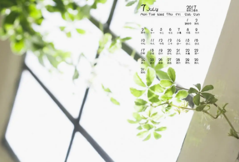 1708566566627914.png image.png