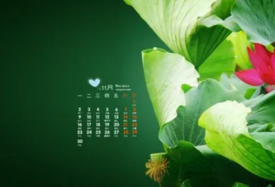 ​一个人一杯茶一种心情说说 一种心情什么意思