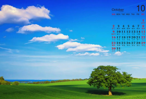 1708566899950571.png image.png