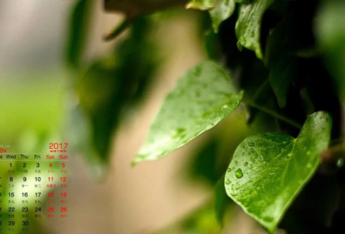 1708568397526783.png image.png