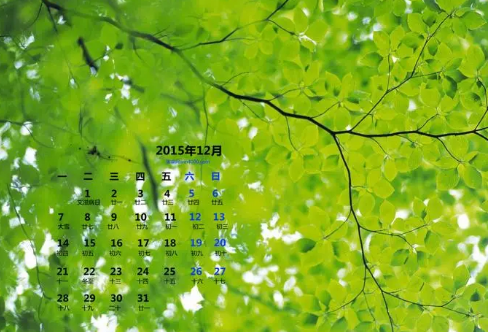 1708569063653495.png image.png