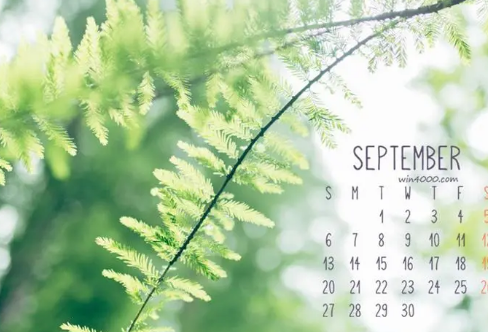 1708569229532751.png image.png