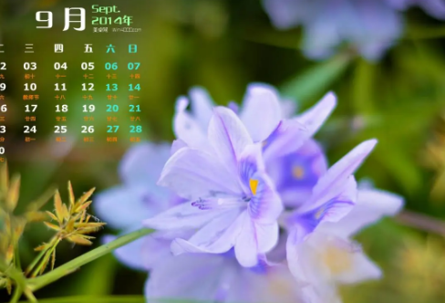 1708569728620625.png image.png