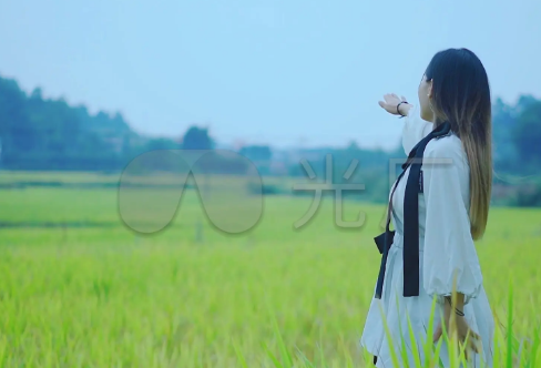 1708570228571432.png image.png