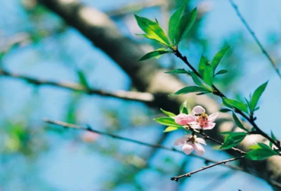 ​致自己奔四的生日说说 致自己奔四的生日说说图片
