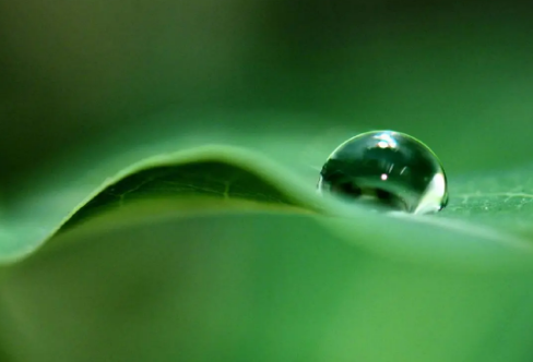 1708571393425474.png image.png