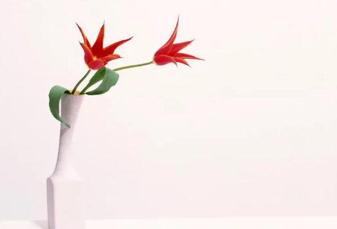 1708573057313733.png image.png