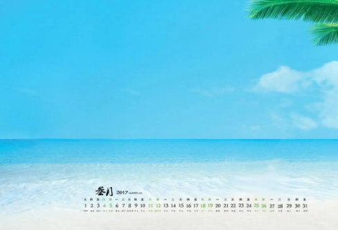 1708573224288685.png image.png