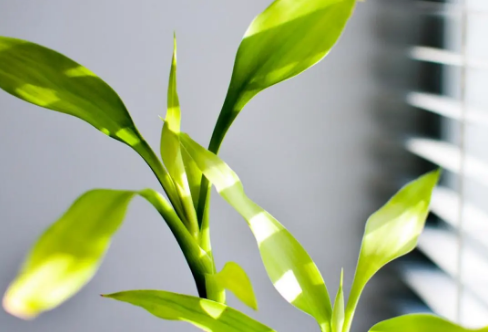 1708573391587700.png image.png