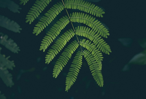 1708573557822798.png image.png