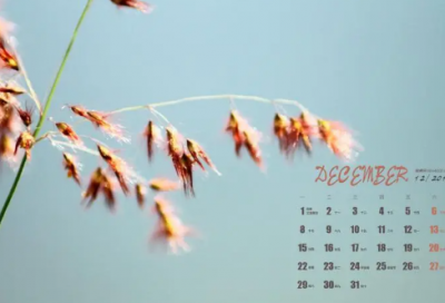 ​对情人说的感动的话 一句话感动情人的话(精选72句)