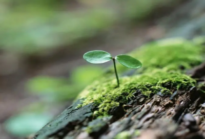 ​最能暖到男人心的情话 对另一半说的暖心情话