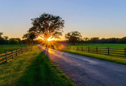 1708574389201887.png image.png