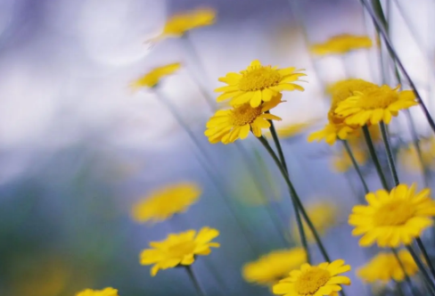 1708574889151635.png image.png