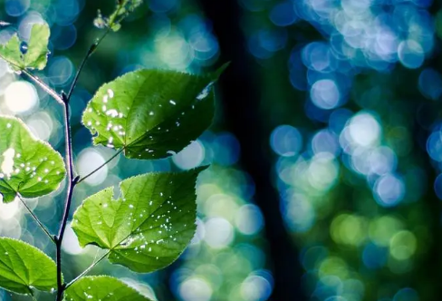 1708575222330772.png image.png