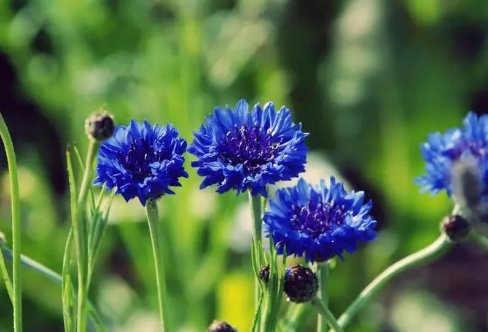 1708575555418623.png image.png