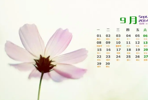 1708575721391658.png image.png