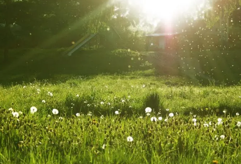 1708575887213531.png image.png