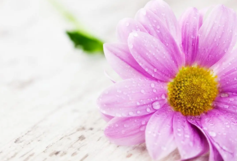 1708576220718207.png image.png