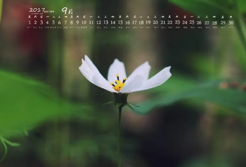 1708576553663881.png image.png