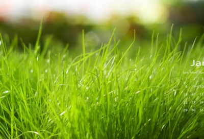 ​服装店管理制度具体说明(精选3篇)