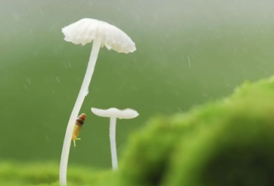 ​青年节主题文案说说(精选92句)