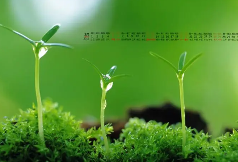 1708577552783065.png image.png