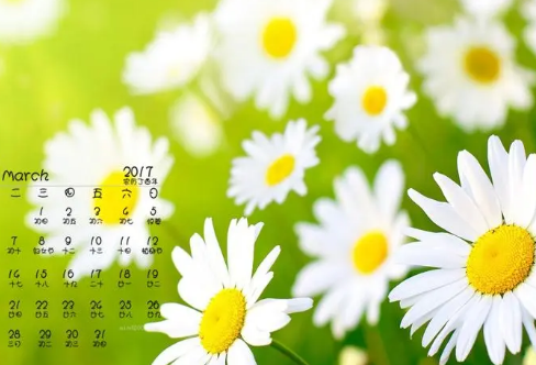 1708577718290206.png image.png